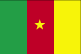 Flags of French Speaking countries - Cameroon